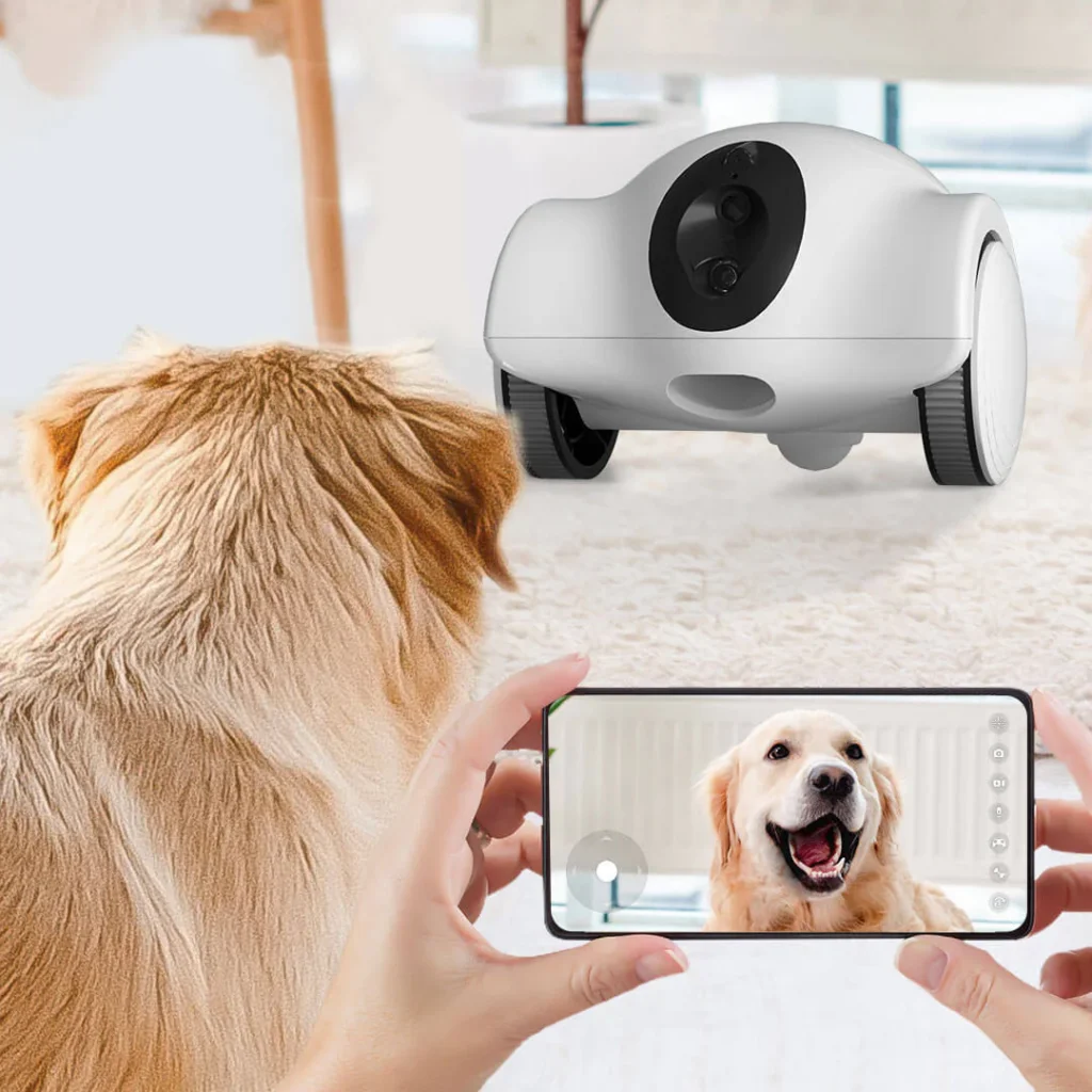 Benefits of Choosing Gofix for Your Pet Camera Installation