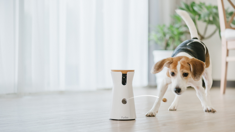 Smart Pet Camera